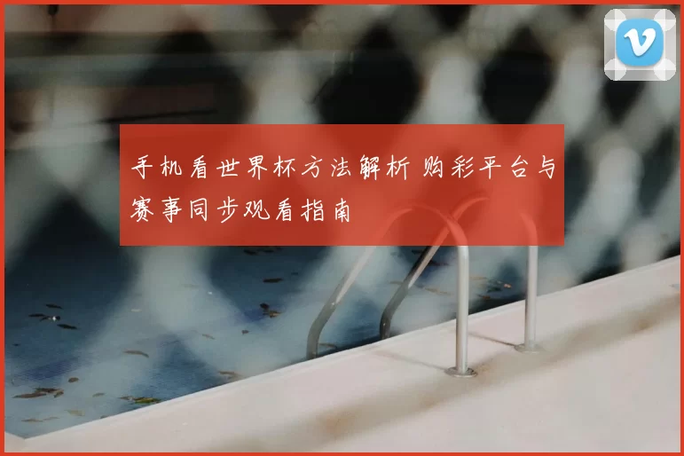 手机看世界杯方法解析 购彩平台与赛事同步观看指南