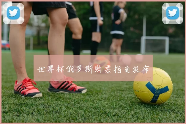 世界杯俄罗斯购票指南发布