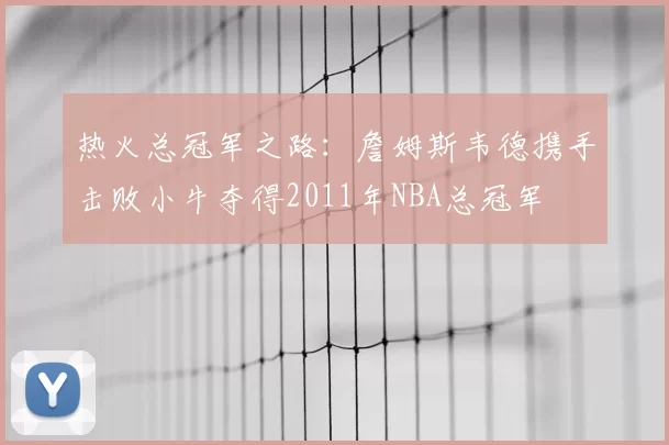 热火总冠军之路:詹姆斯韦德携手击败小牛夺得2011年NBA总冠军