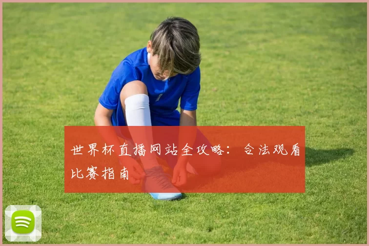 世界杯直播网站全攻略:合法观看比赛指南