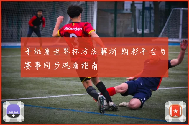 手机看世界杯方法解析 购彩平台与赛事同步观看指南