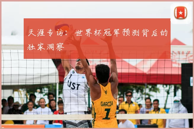 天涯专访：世界杯冠军预测背后的独家洞察