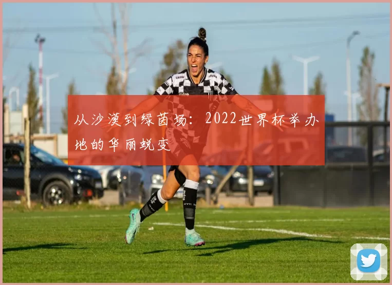 从沙漠到绿茵场:2022世界杯举办地的华丽蜕变