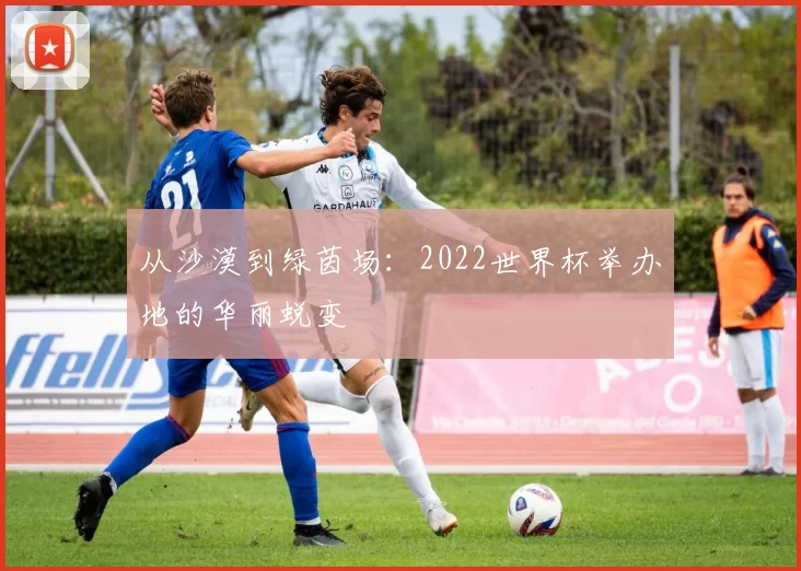 从沙漠到绿茵场:2022世界杯举办地的华丽蜕变