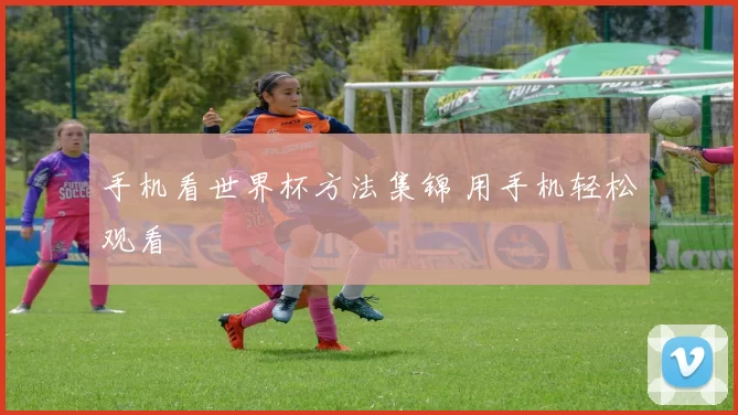 手机看世界杯方法集锦 用手机轻松观看
