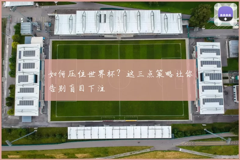 如何压住世界杯？这三点策略让你告别盲目下注