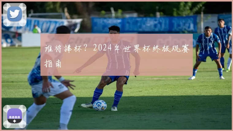 谁将捧杯?2024年世界杯终极观赛指南